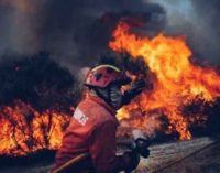 El Patriarca de Lisboa agradece al cardenal Blázquez su solidaridad ante la tragedia de Portugal