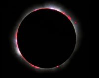 Fr. Consolmagno: “El eclipse es una experiencia genial”