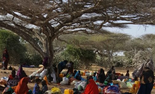 Manos Unidas: El derecho a la alimentación es una quimera para millones de personas en África