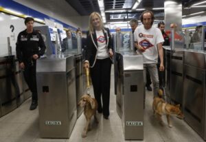 Los perros pueden viajar en metro 4