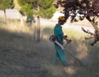 Majadahonda se prepara para evitar incendios con el desbroce de las parcelas de la ciudad