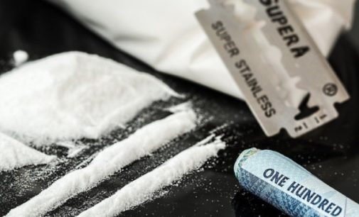 Monseñor Auza señaló la necesidad de combatir la producción de drogas ilícitas
