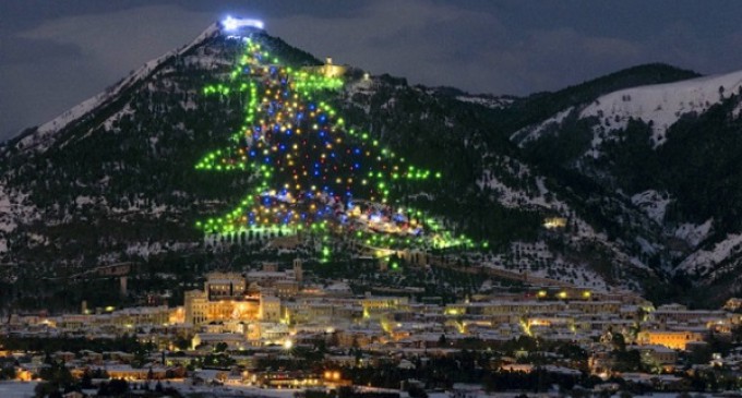 El Papa enciende el árbol de Navidad más alto del mundo
