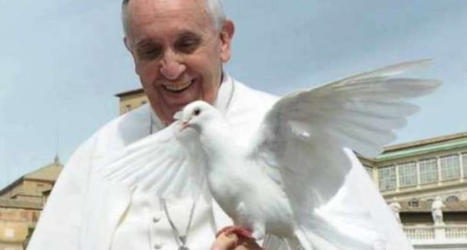 El Papa hace público el mensaje para la Jornada Mundial de la Paz