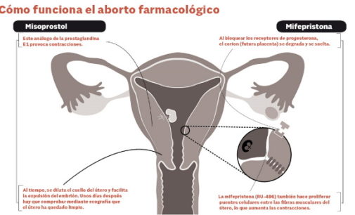Aborto farmacológico: «Al final el método da igual: alguien ha muerto»