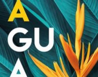Libros: «Agua» de Isabel Gómez Acebo, publicdo por Editorial San Pablo