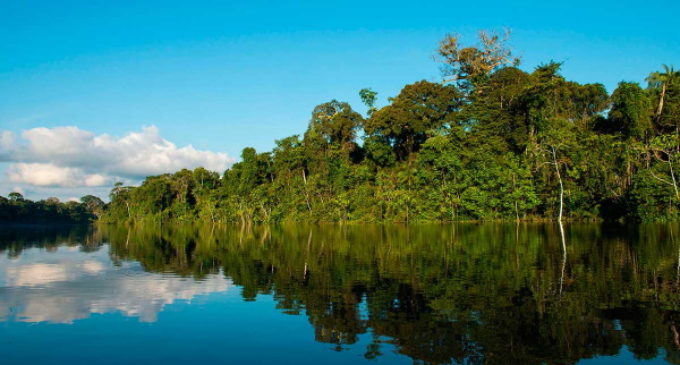 Amazonía peruana: Una de las zonas con mayor biodiversidad del planeta