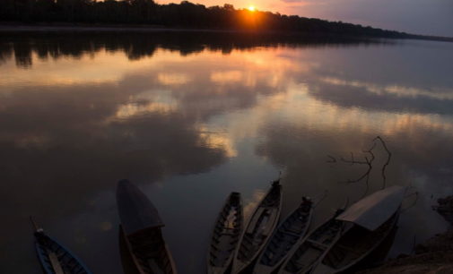Amazonía: Territorio, población, amenazas e importancia del ecosistema para el clima mundial