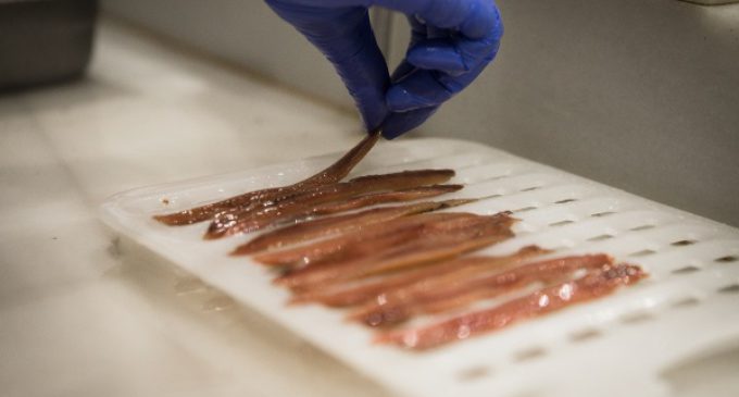 La anchoa de Santoña: tu aliado perfecto para llevar una dieta equilibrada