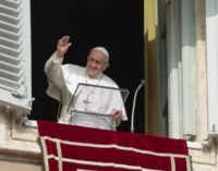 Ángelus: nuevo llamamiento del Papa contra el terrorismo, la violencia y el uso de niños soldados