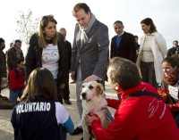 Adopte animales de compañía en Navidades en lugar de comprar
