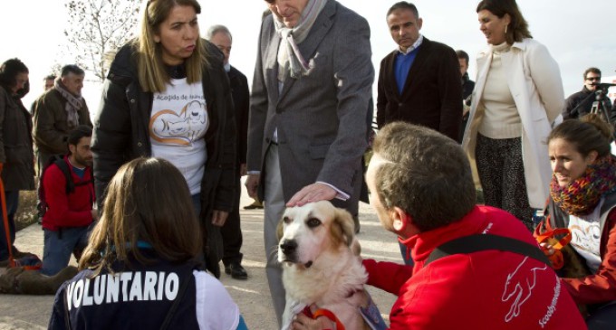 Adopte animales de compañía en Navidades en lugar de comprar