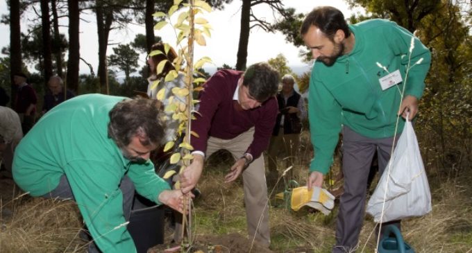 El Arboreto Luis Ceballos celebra su XX aniversario con un ejemplar de olmo blanco para su colección