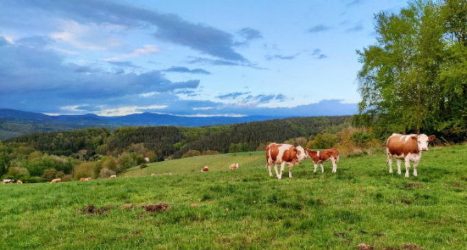 La Comunidad de Madrid aumenta las ayudas para apoyar a los jóvenes agricultores y ganaderos