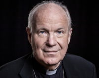 Austria: Palabras del cardenal Schönborn tras el atentado en Viena