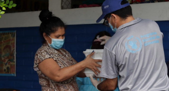 COVID-19: El Papa dona 25.000 euros al Programa Mundial de Alimentos