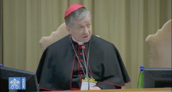 Cardenal Blase Cupich: “No a la soledad, no al aislamiento”