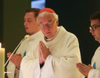ENTREVISTA. Card. Nichols: “Para la solidaridad europea, necesitamos pragmatismo y armonía”