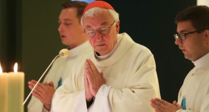 ENTREVISTA. Card. Nichols: “Para la solidaridad europea, necesitamos pragmatismo y armonía”