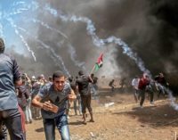 Cáritas Jerusalén: «Estamos horrorizados con la violencia en Gaza»