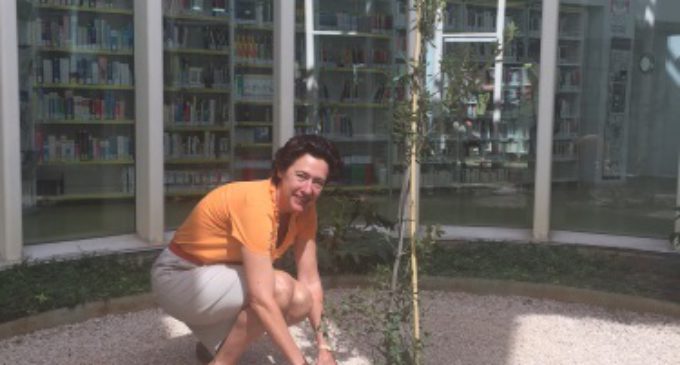 La Comunidad rinde homenaje a Cervantes plantando una encina en una biblioteca de Vallecas
