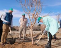 Cifuentes participa en la plantación de 800 árboles en Colmenar Viejo