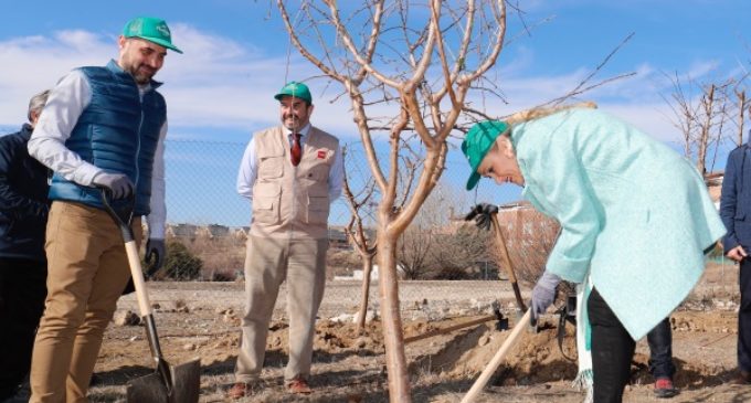 Cifuentes participa en la plantación de 800 árboles en Colmenar Viejo