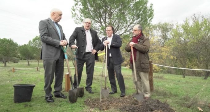 La clonación de árboles singulares permite perpetuar el patrimonio natural de la Comunidad