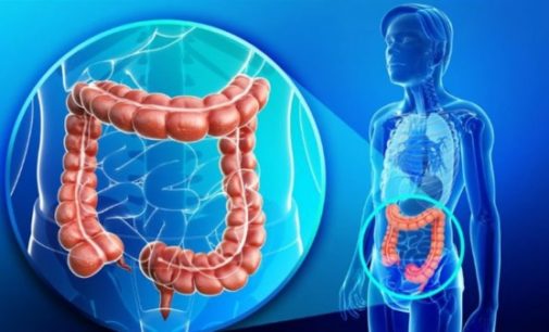 Relanzamiento de la campaña para invitar a los madrileños a participar en el Programa de Detección Precoz de Cáncer de Colon y Recto