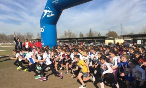 El Cross Escolar de la Comunidad llega a su 4ª edición con más de 2.500 alumnos participantes