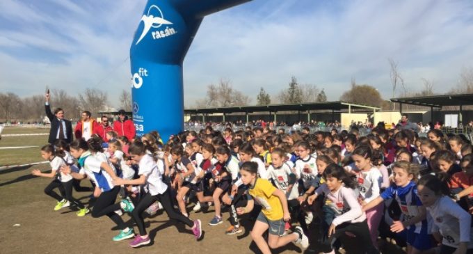 El Cross Escolar de la Comunidad llega a su 4ª edición con más de 2.500 alumnos participantes