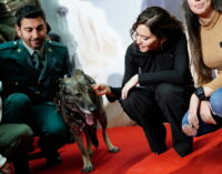 Díaz Ayuso traslada su apoyo y admiración a la Guardia Civil tras el pacto del Gobierno con Bildu y advierte de que es la antesala de su expulsión definitiva de Navarra y otras CCAA