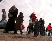 Audiencia pontificia: Refugiados, la mayor tragedia desde la II Guerra Mundial