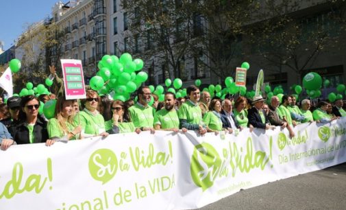 Derecho a Vivir: “España no necesita una ley del aborto, necesita una ley que proteja a la mujer embarazada y el derecho a la vida de todos los seres humanos”