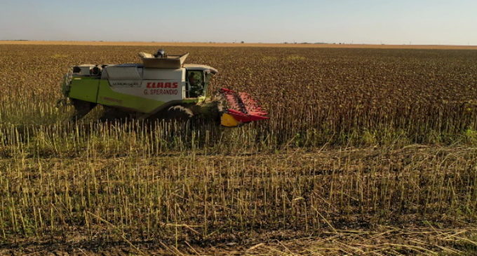 La Comunidad de Madrid destina cerca de 400.000 euros en becas para formar profesionales en la investigación del entorno rural