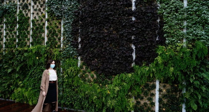 Díaz Ayuso inaugura el Parque de Bravo Murillo en Chamberí con más de 3.700 m2 de zonas verdes, infantiles y deportivas