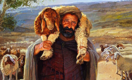 30.4.2023. Domingo 4 de Pascua (A). Liturgia de la Palabra. Lecturas y Homilía: “Jesús, la puerta del redil, para entrar y para salir”