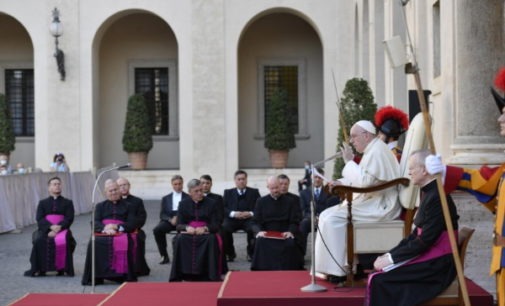Día Internacional para la Protección de la Educación: Llamamiento del Papa