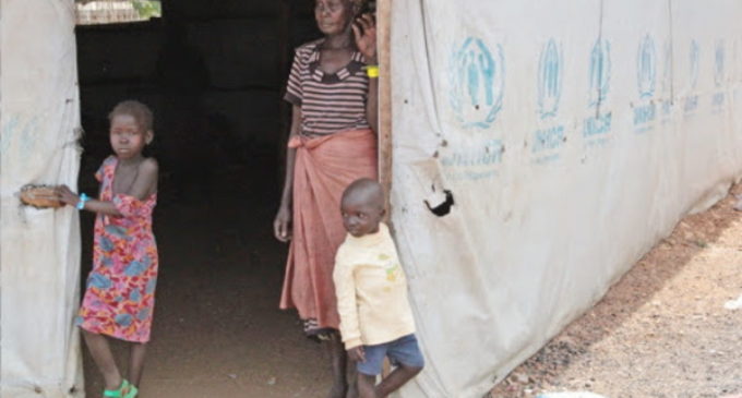 Día de los Refugiados: Misiones Salesianas piden atención para 79 millones de personas
