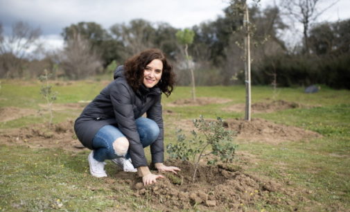 Díaz Ayuso inicia el Arco Verde con la plantación de los primeros 350 árboles vinculados a la COP25