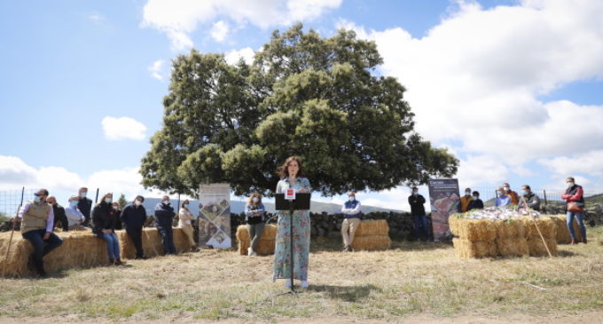 Díaz Ayuso presenta un proyecto de comercio online lanzado por jóvenes ganaderos de la Sierra Norte