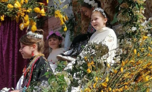 La Comunidad de Madrid declara Bien de Interés Cultural la Fiesta de las Mayas de Colmenar Viejo, El Molar, Leganés y Lavapiés