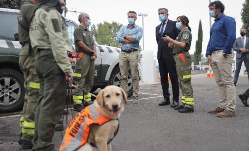 El 33% de los incendios que se produjeron el pasado año en la Comunidad de Madrid fueron intencionados