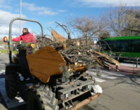 El Ayuntamiento cifra en casi 14 millones de euros los daños del arbolado de Majadahonda
