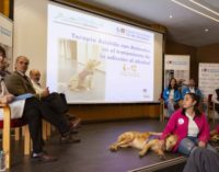 Hospital 12 de Octubre: beneficios de la terapia asistida con animales en el tratamiento y rehabilitación de pacientes alcohólicos