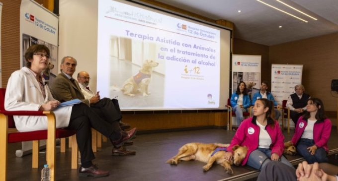 Hospital 12 de Octubre: beneficios de la terapia asistida con animales en el tratamiento y rehabilitación de pacientes alcohólicos