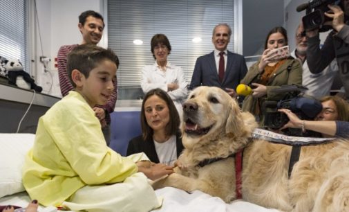 El Hospital 12 de Octubre demuestra que la terapia asistida con perros puede reducir el dolor y la ansiedad en niños ingresados en Cuidados Intensivos