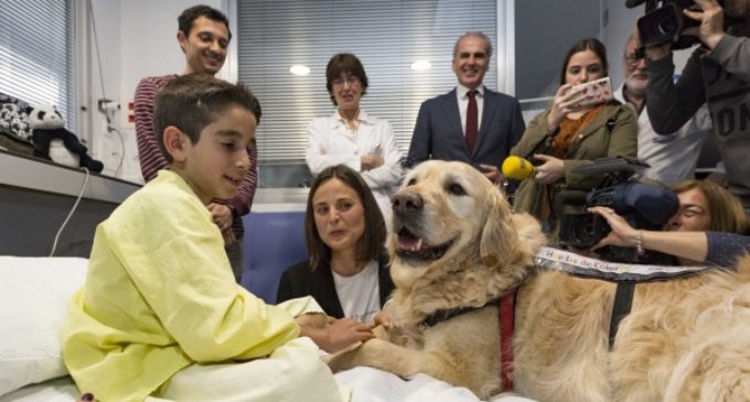El Hospital 12 de Octubre demuestra que la terapia asistida con perros puede reducir el dolor y la ansiedad en niños ingresados en Cuidados Intensivos