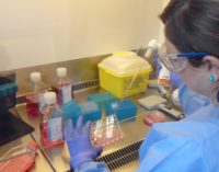 El Hospital 12 de Octubre demuestra que los supervivientes al virus Ébola poseen anticuerpos especiales que anulan su agresividad