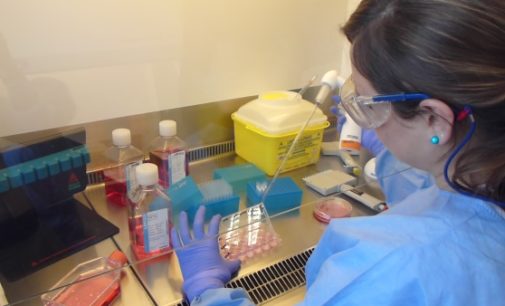 El Hospital 12 de Octubre demuestra que los supervivientes al virus Ébola poseen anticuerpos especiales que anulan su agresividad